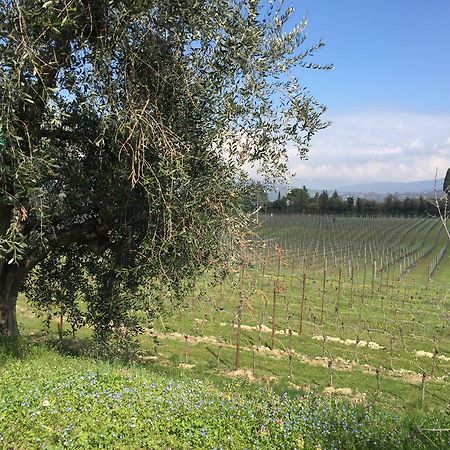 Tenuta La Ca باردولينو المظهر الخارجي الصورة